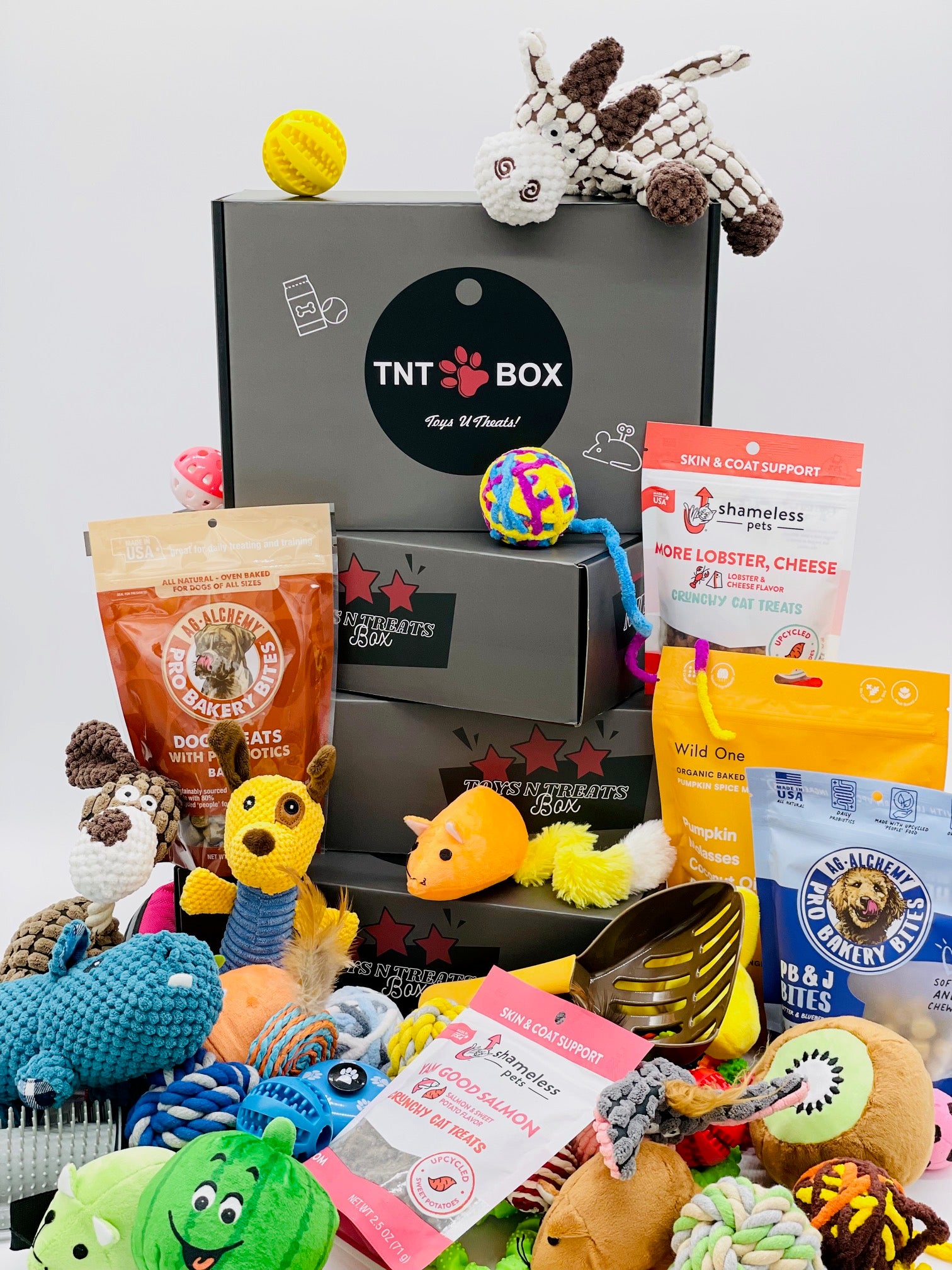 Fresh Look at Pet Subscription Boxes Monthly Toys Treats For Cats Dogs