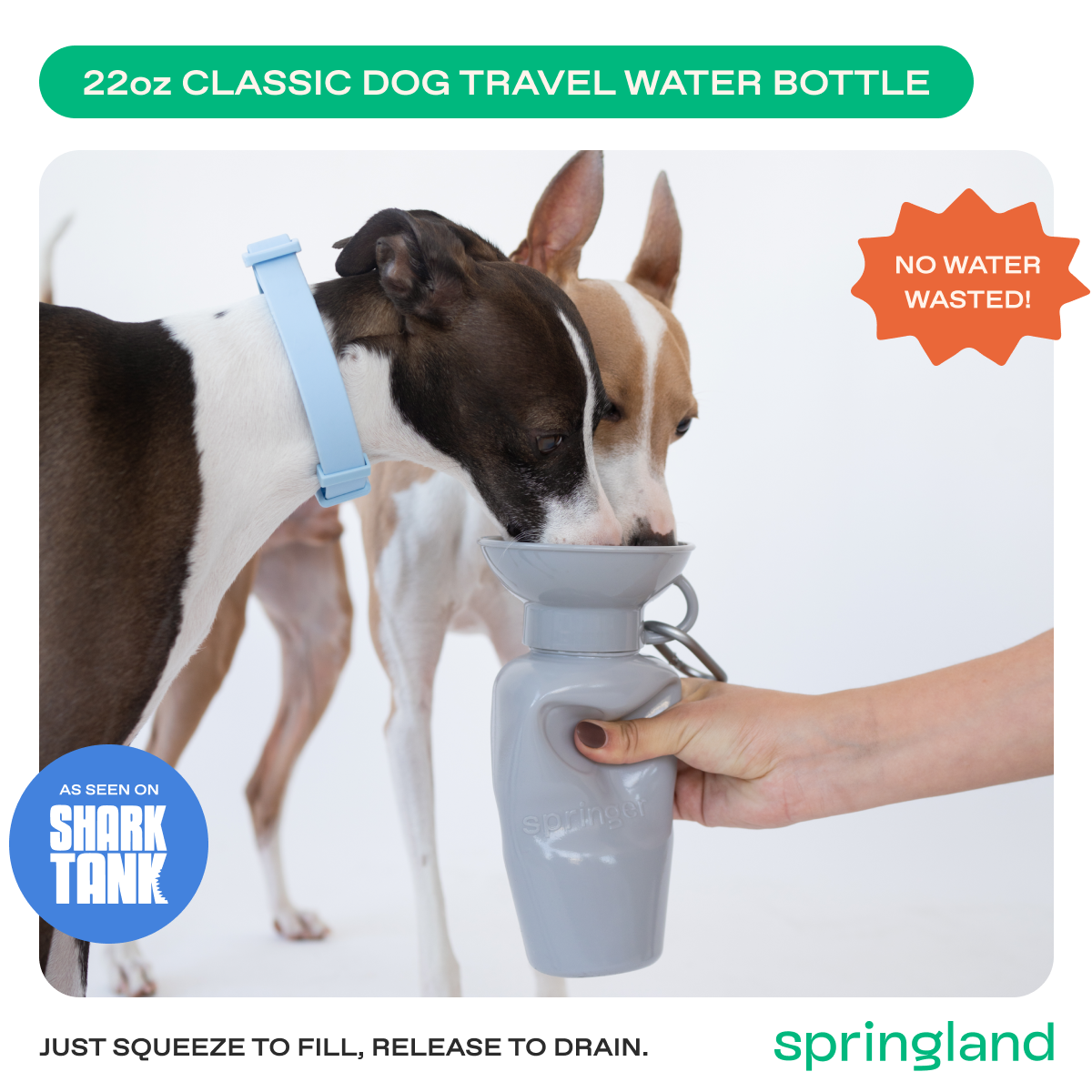 22oz Original Dog Travel Water Bottle