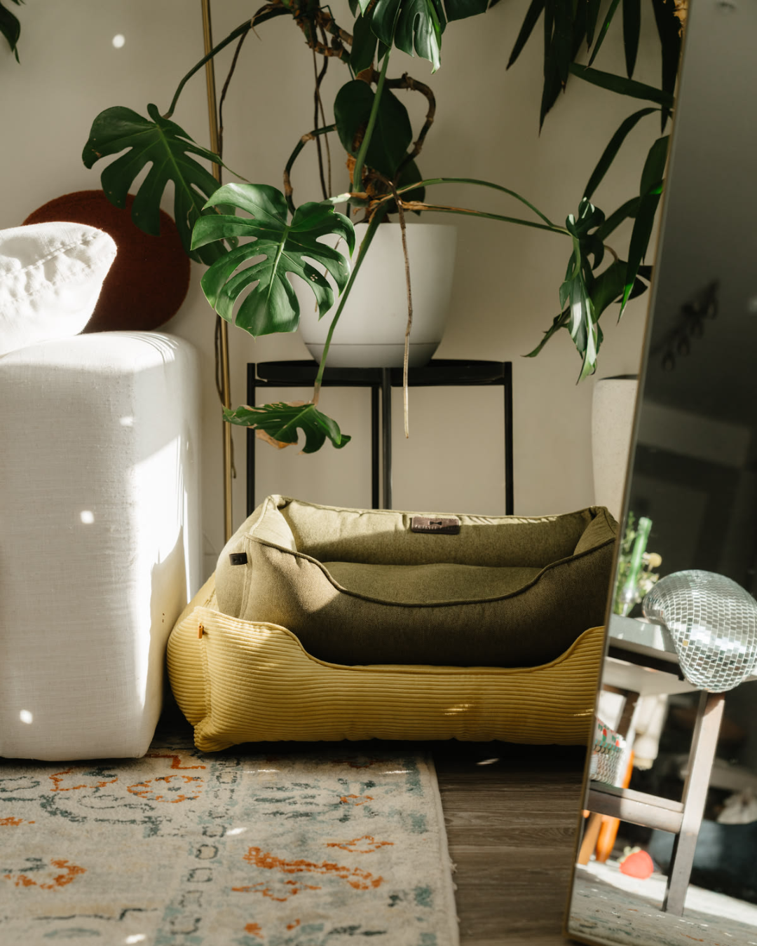Cotton Sleeper Dog Bed Olive
