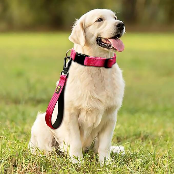 PLUTUS PET 10 Inch Short Dog Leash for Large Dogs with Locking Carabiner Clip & Padded Handle ļ¼10ā, Pinkļ¼