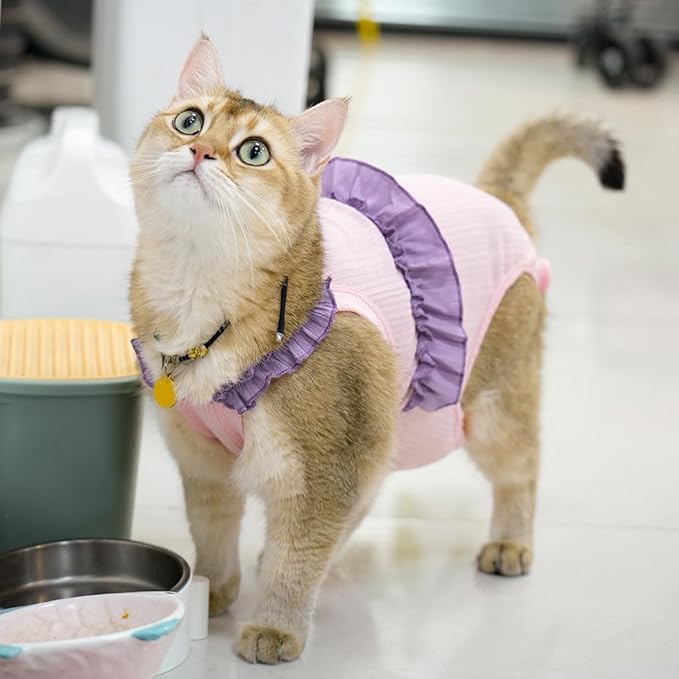 Cat Recovery Suit,Kitten Onesie After Surgery,E-Collar Alternative for Abdominal Wound and Skin Diseases,Soft Breathable Bodysuit After Spay(Pink-m)