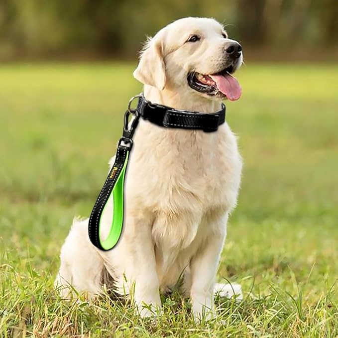 PLUTUS PET 10 Inch Short Dog Leash for Large Dogs with Locking Carabiner Clip & Padded Handleļ¼10ā, Blackļ¼