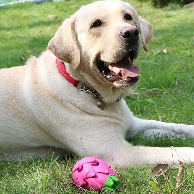 AUSCAT Pitaya Treat Dispensing Dog Toy – Rubber Puzzle Toy for Aggressive Chewers