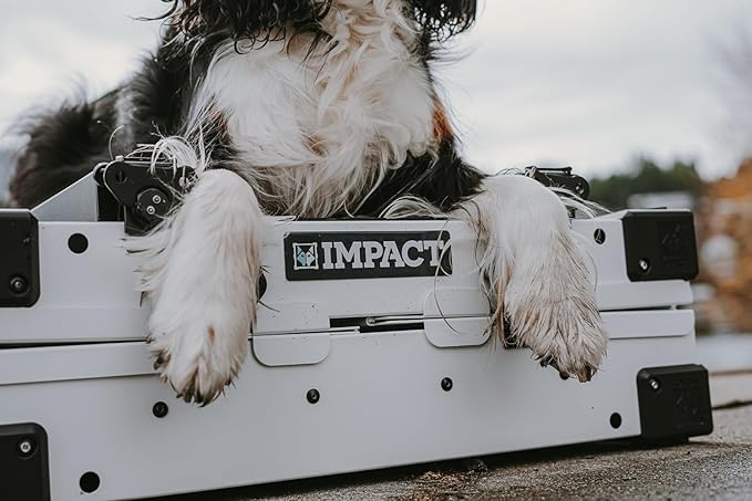 Impact Collapsible Dog Crate - Foldable Hard Crate for Intermediate Dogs - Heavy Duty Travel Kennel with Powder-Coated Aluminum - Quick Setup for Indoor & Outdoor (Gray, 34" (34.5" L x 23" W x 29" H))