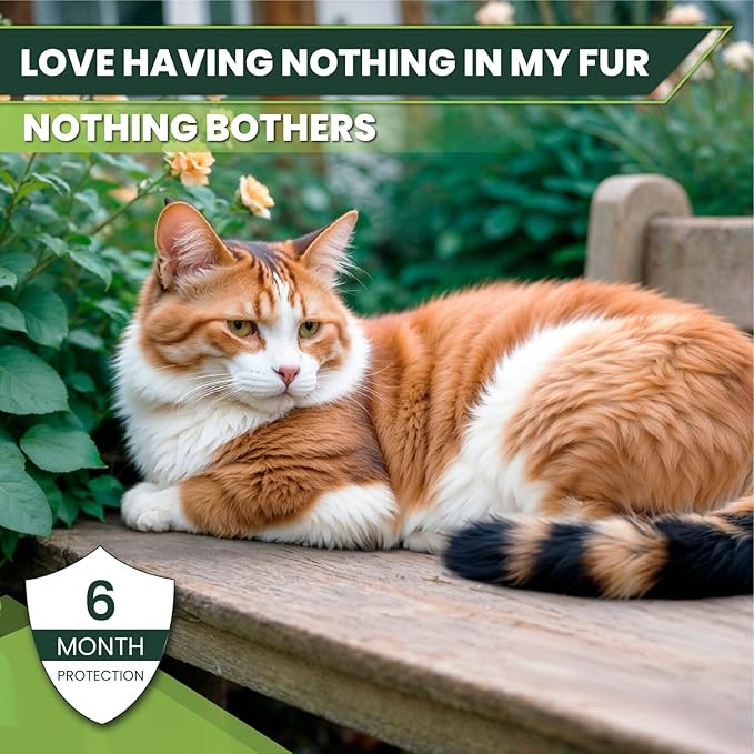 Flea and Tick Prevention for Cats: Flea & Tick Topical for Cats Over 1.5lbs, 6 Dose Flea and Tick Control/Prevention for 6 Months (6 Pack)