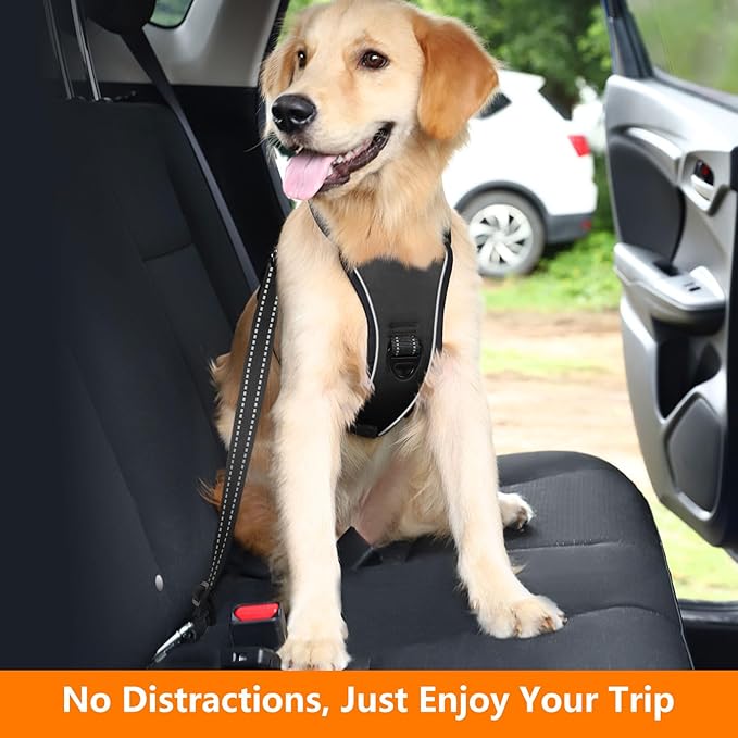 Dog Seat Belt Harness for Car, Dog Car Harness Adjustable Mesh Breathable & Dogs Seatbelt Safety Tether with Elastic Bungee for Small Medium Large Pets(Carbon Black, S)