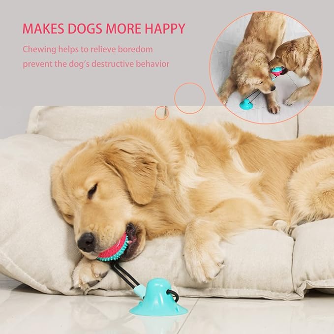 Blue Puppy Chew Toy Set – Teething Rope, Treat Dispensing Ball & Puzzle Toy for Small Dogs
