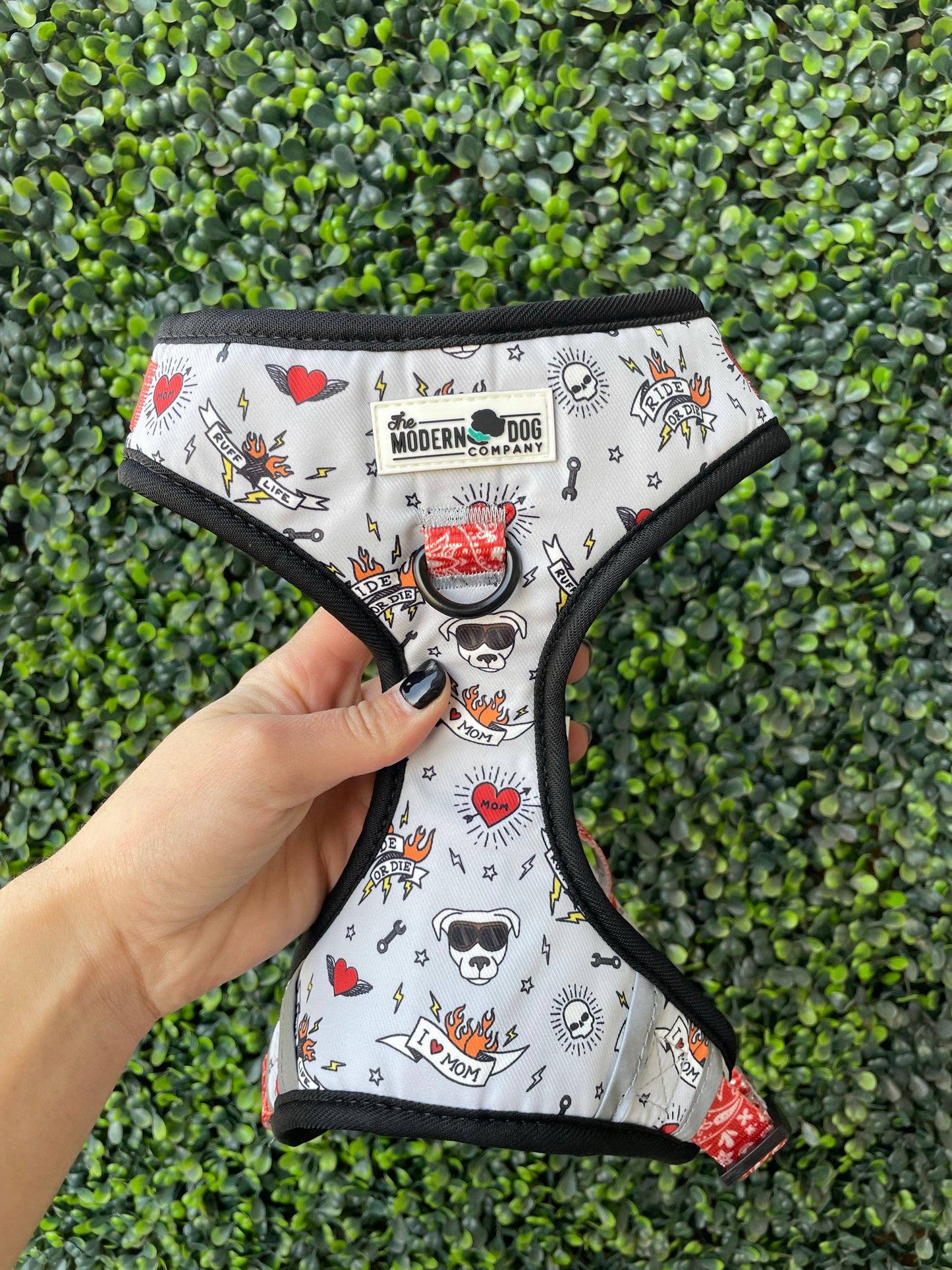 The Modern Dog Company - Bad to the Bone Harness