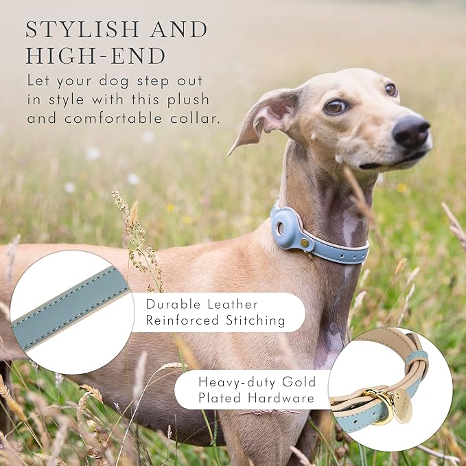 Cupertino Dog Collars, Harnesses & Leashes Made from Vegan Leather with Dog Tracker Device Holder Adjustable Dog Collar (Extra Small, Blue)