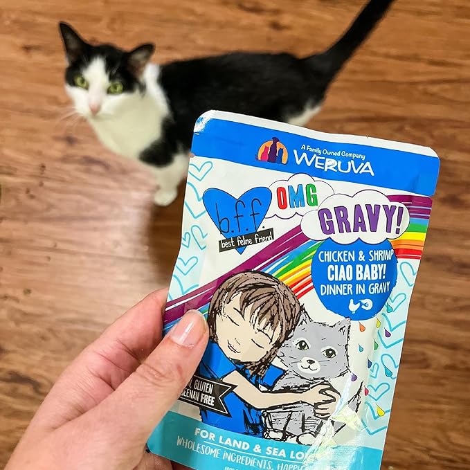 Weruva B.F.F. OMG - Best Feline Friend Oh My Gravy! Tuna & Chicken Charm Me with Tuna & Chicken in Gravy Cat Food, 3oz Pouch (Pack of 12)