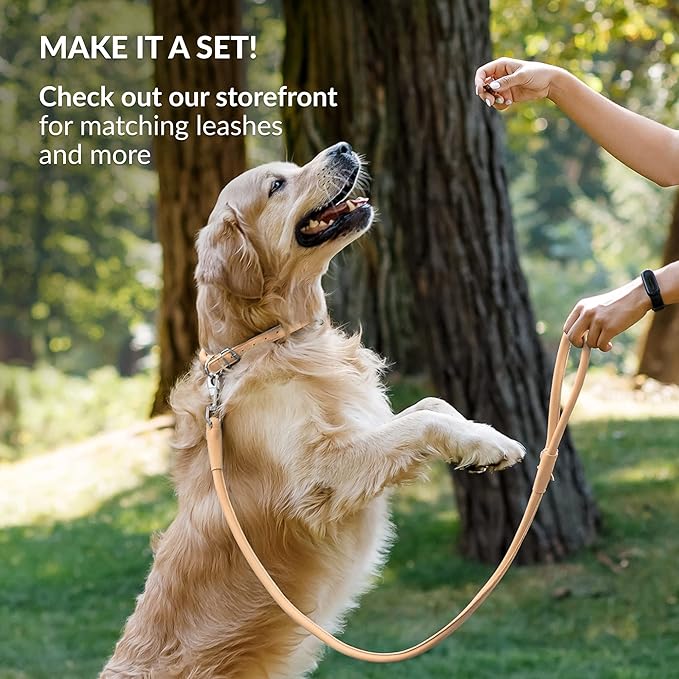 CollarDirect Rolled Leather Dog Collar, Soft Padded Round Puppy Collar, Handmade Genuine Leather Collar Dog Small Large Cat Collars 13 Colors (18-22 Inch, Beige Smooth)