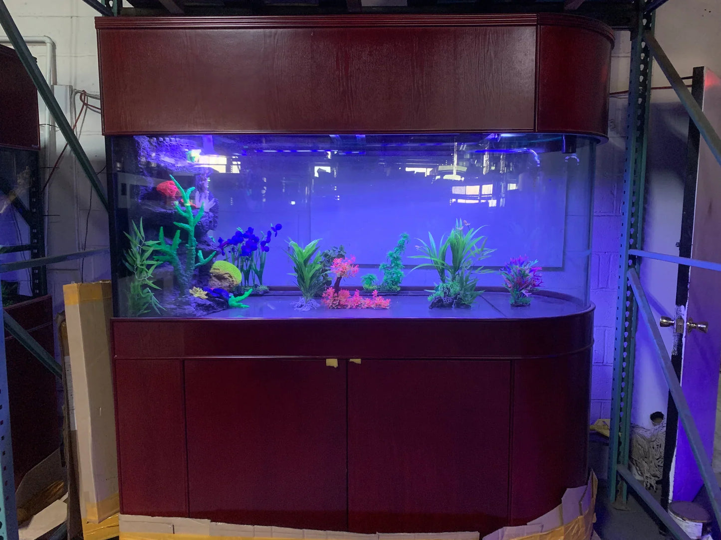 120 Gallon U-Shape Bullnose Peninsula Divider Glass Aquarium Reef-Ready in Premium Cherry Real Wood Furniture
