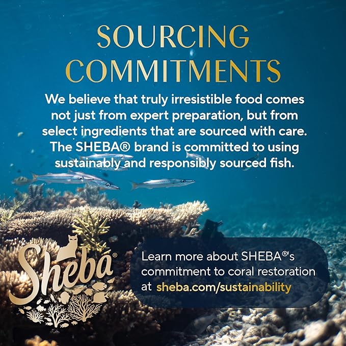 Sheba Perfect Portions Wet Cat Food Cuts in Gravy Variety Pack, with Sustainable Tuna and Roasted Chicken Entree, 2.6 oz. Twin-Pack Trays (6 Count, 12 Servings) (Pack of 2)