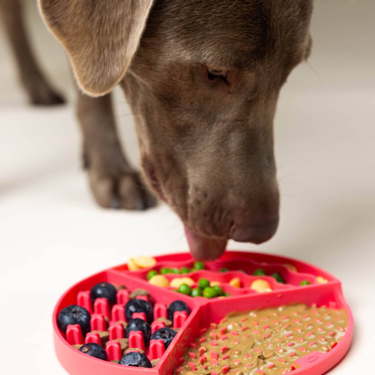 Blue Dog & Cat Lick Mat