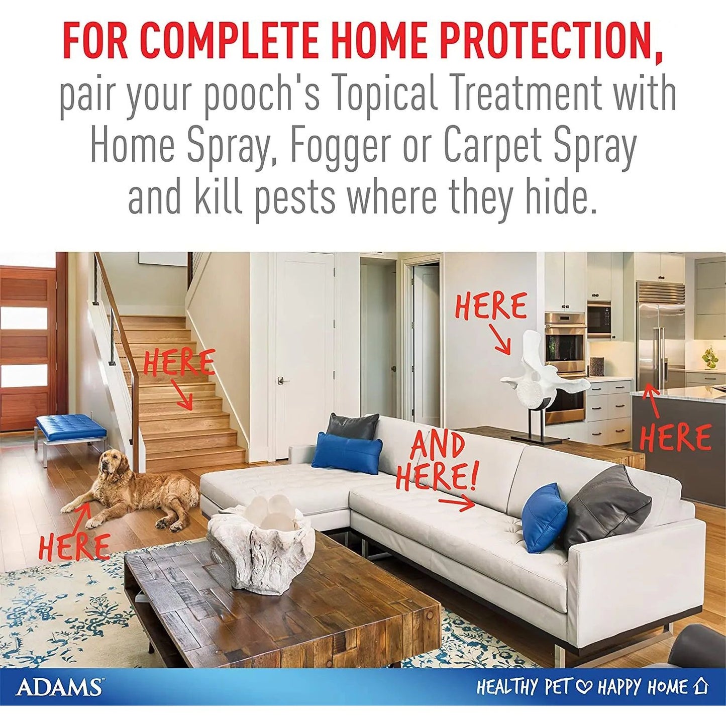 Adams Plus Flea and Tick Spot On for Small Dogs 5-14 lbs.