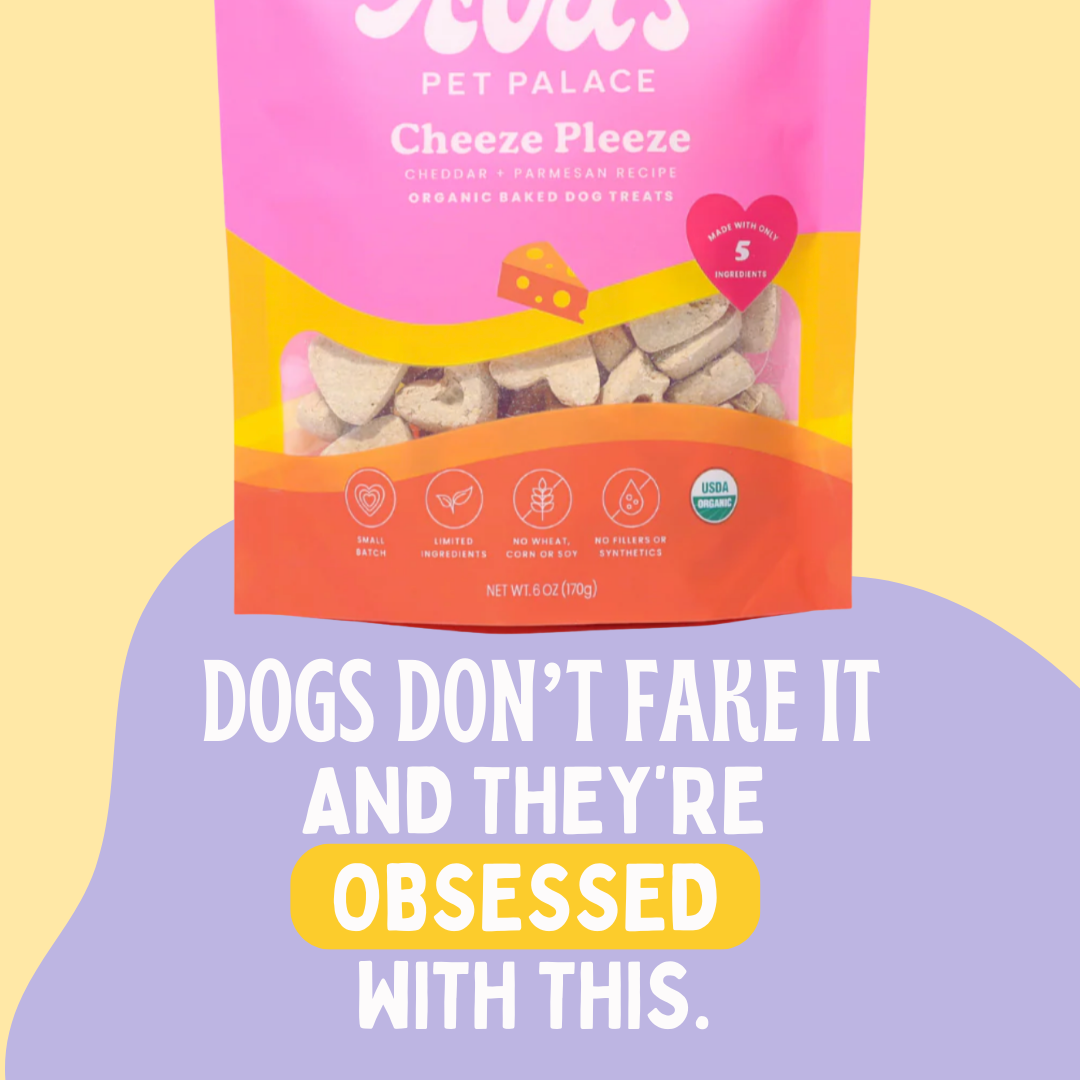 Organic Baked Dog Treats - Cheeze Pleeze