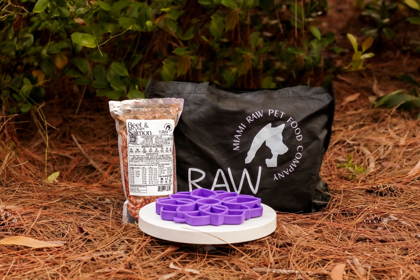 Raw Beef & Wild-Caught Salmon Meal Blend for Cats & Dogs β Prey Model Raw | Raw Instincts Florida