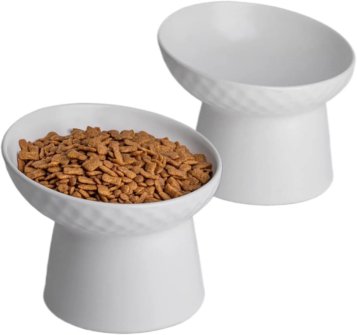 Ceramic Raised Tilted Cat Bowls Set of 2, Elevated Porcelain Feeder