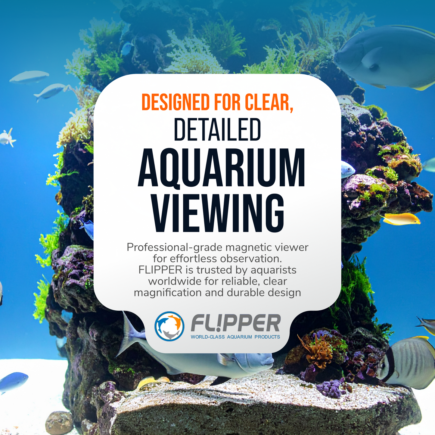 DeepSee Viewer Clear 4"