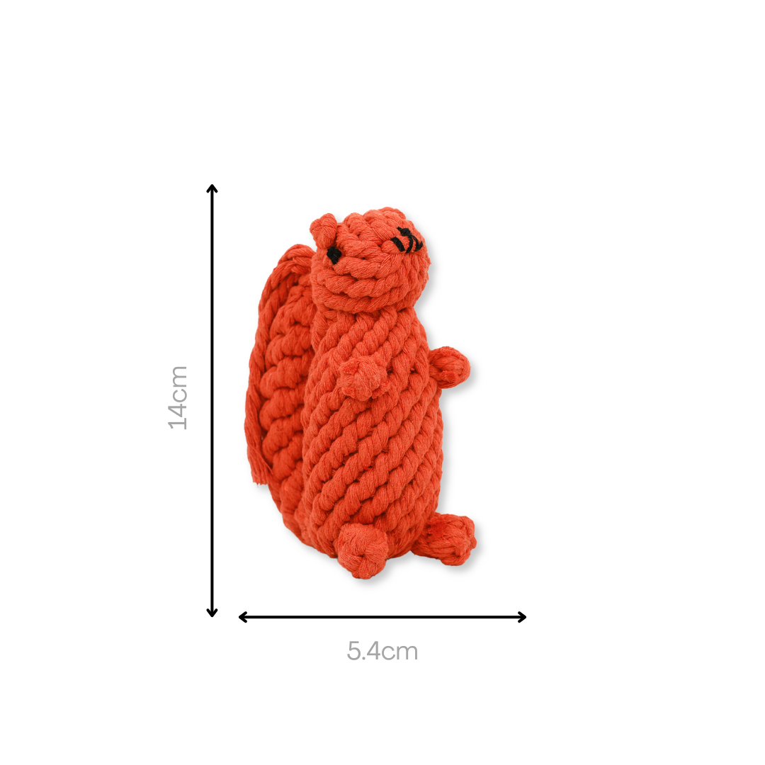 Oliver the Squirrel Rope Toy