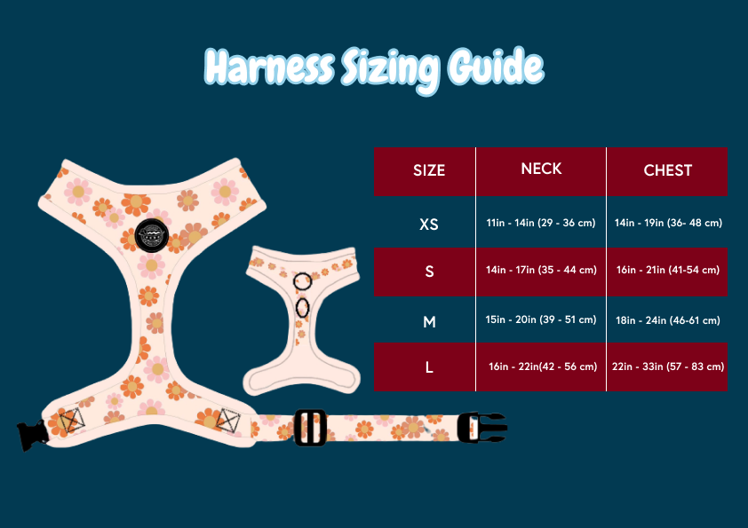 Tie Dye Smiley Harness