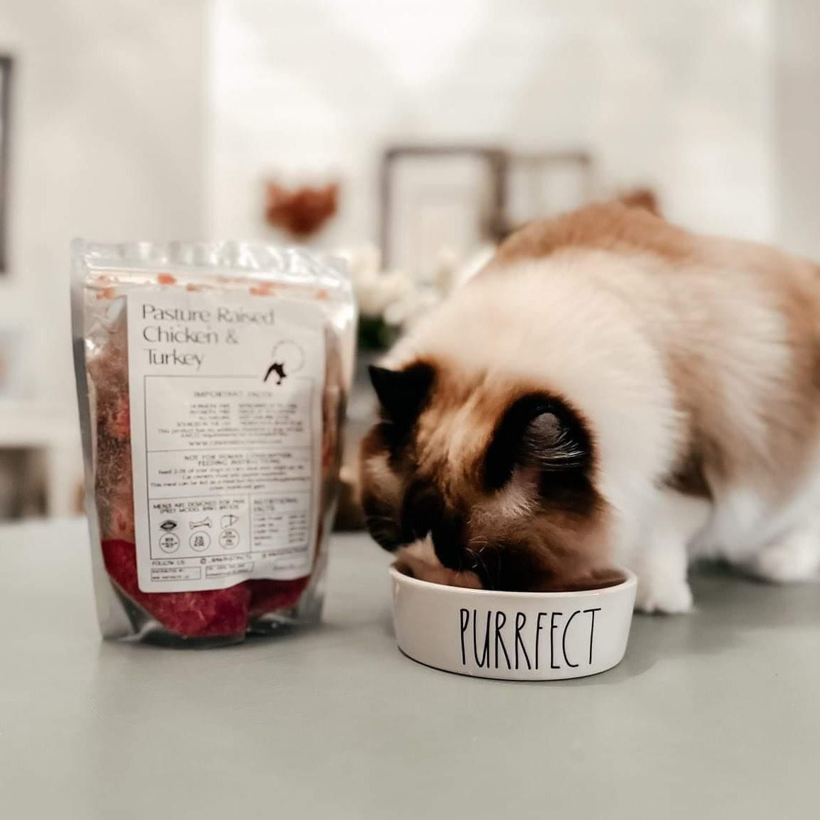 Raw Chicken & Turkey Meal Blend for Cats & Dogs β Prey Model Raw | Raw Instincts Florida