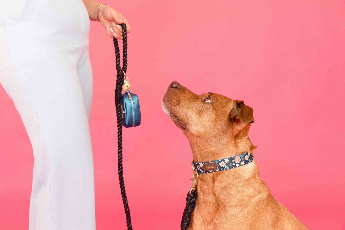 Riley Dog Collar
