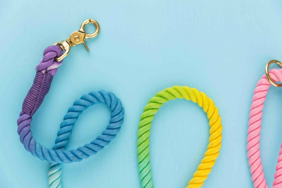 Nola Rope Dog Leash