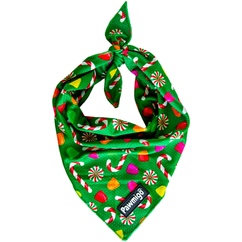 Puppermint Cooling Bandana