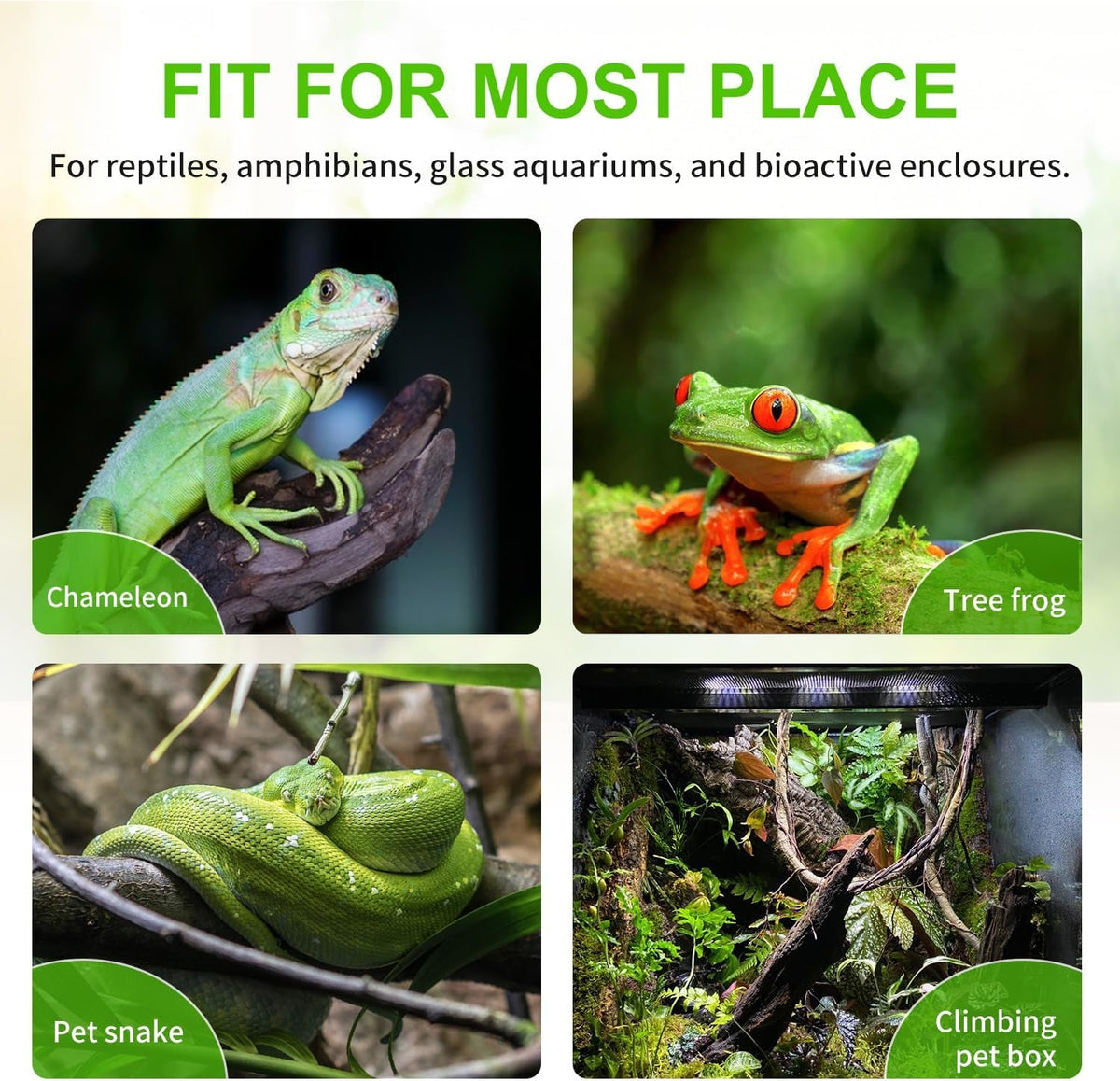 Automatic Reptile Mister System with Timer & 6 Adjustable Nozzles