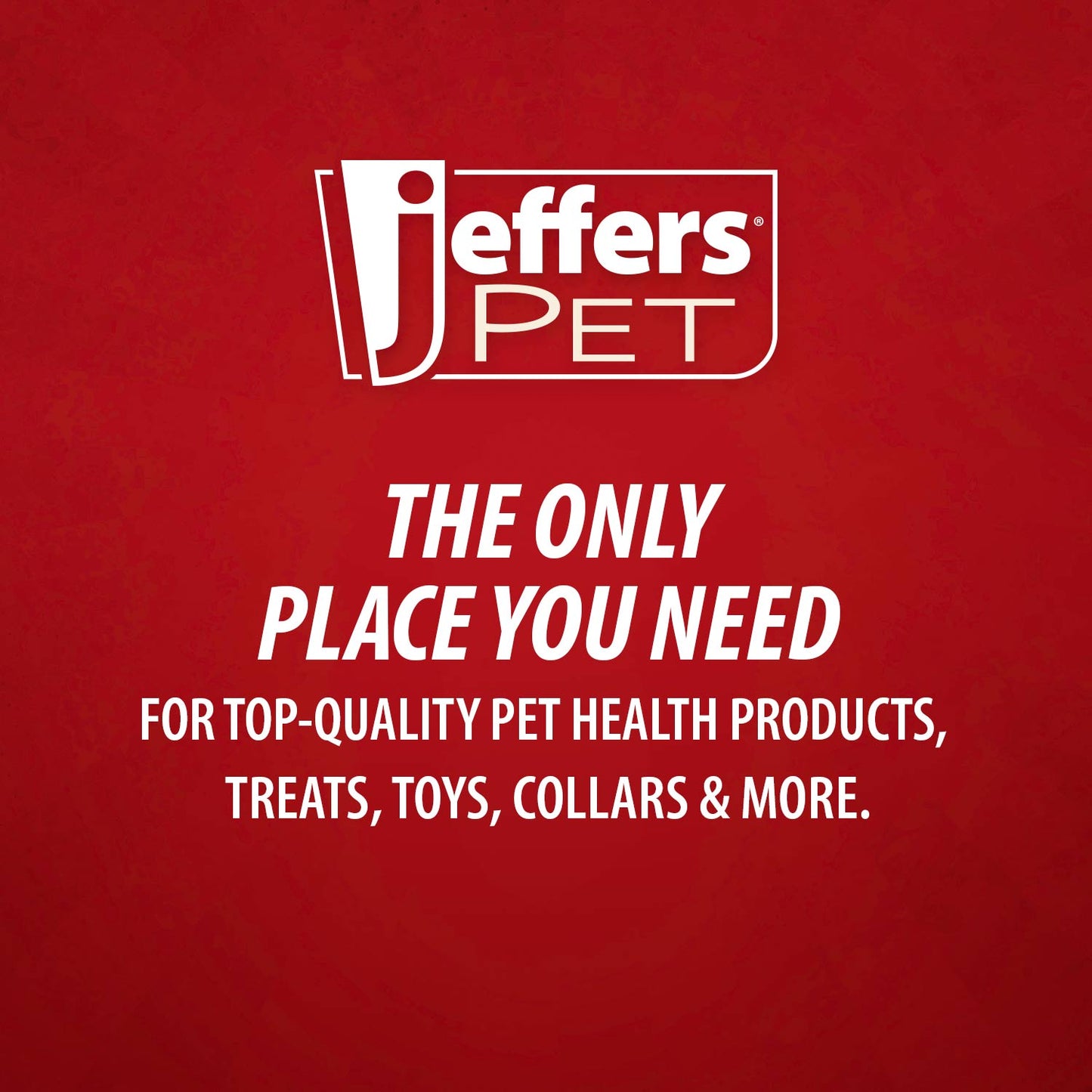 Jeffers Non-Slip Slicker Pet Grooming Brushes
