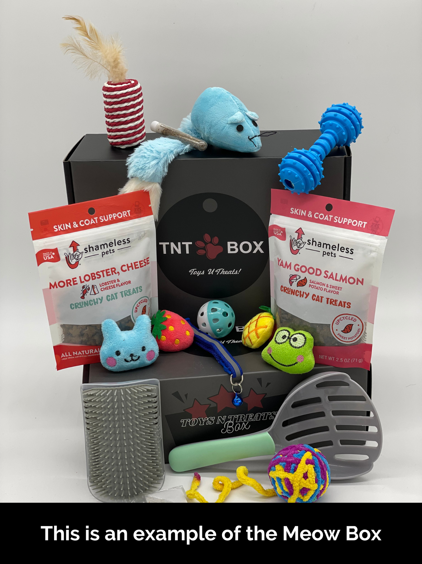 Toys N Treats Boxes