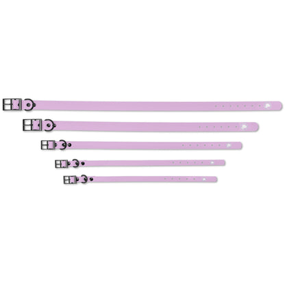 The Modern Dog Company - Blush Pink Collar (Weather + Odor Resistant)