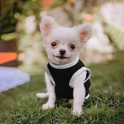 4 Pack Small Dog Shirts Cute Puppy Clothes for Chihuahua Yorkie