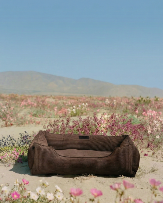 Milk Chocolate Sleeper Dog Bed