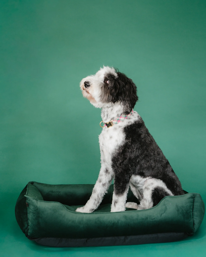 Classic Velvet Sleeper Dog Bed Green