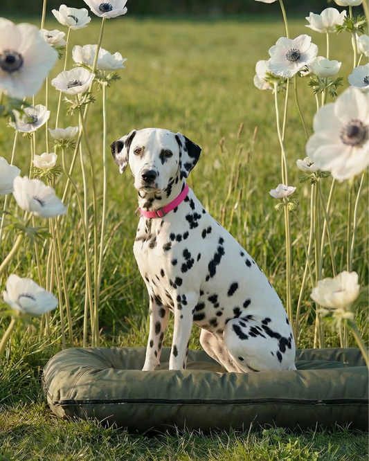 Waterproof Lounger Dog Bed Green