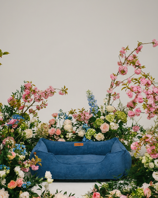 Fancy Corduroy Sleeper Dog Bed