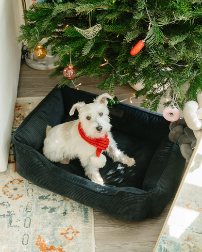 Fancy Corduroy Sleeper Dog Bed Graphite