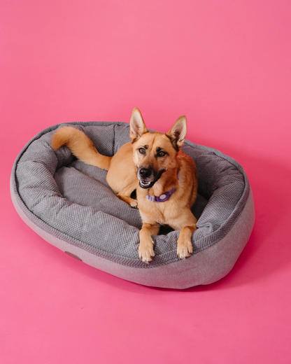 Furry Bagel Dog Bed