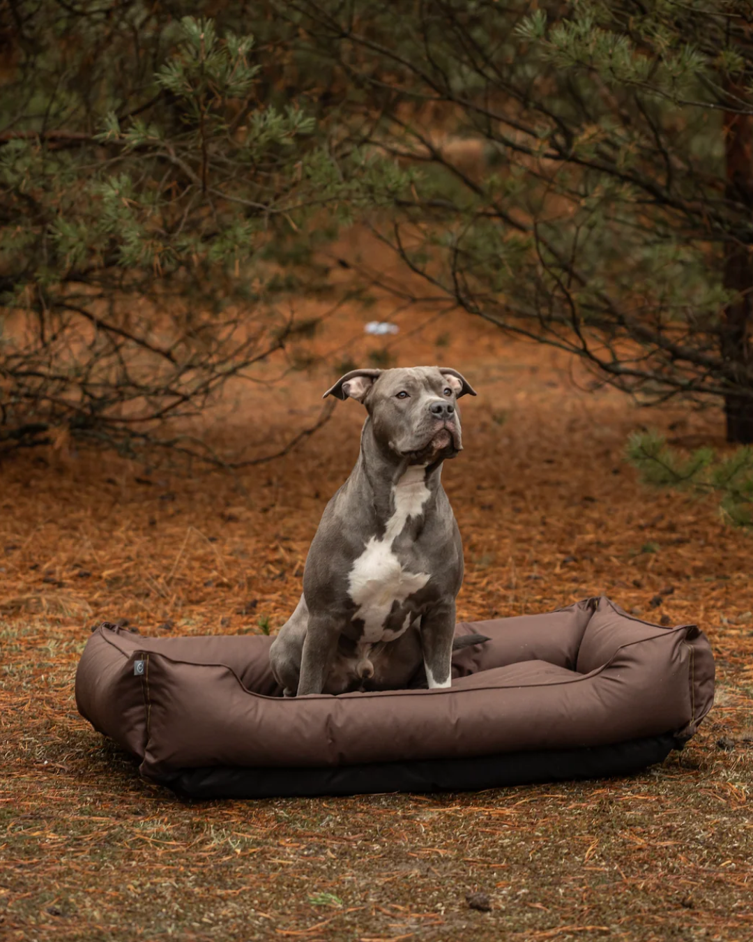Waterproof Sleeper Dog Bed Brown