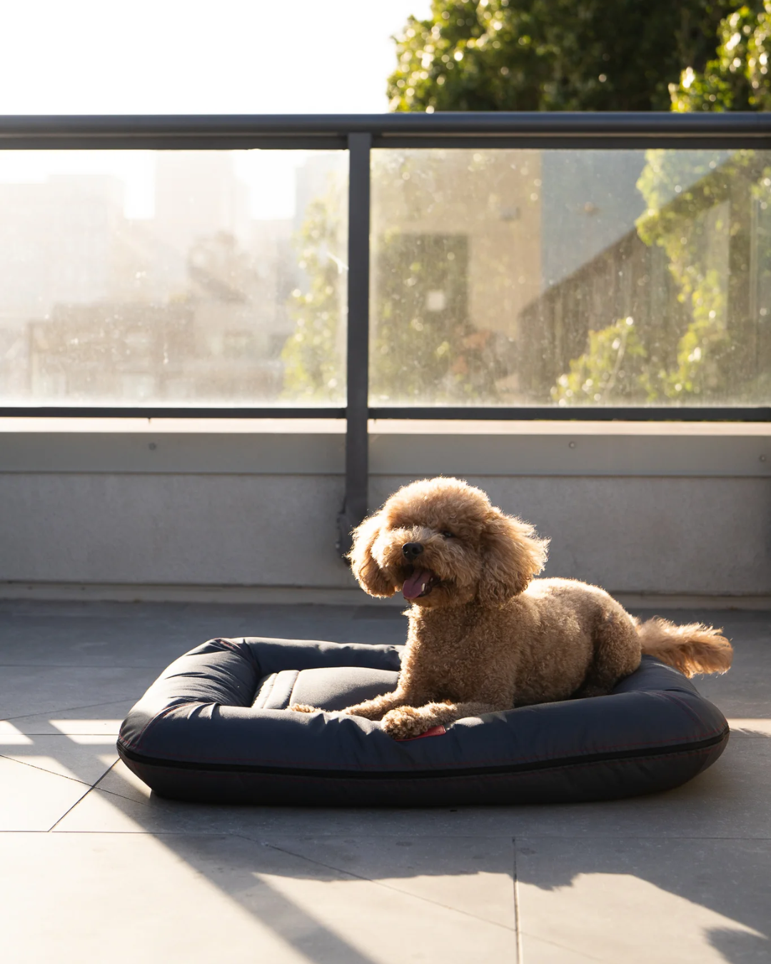Waterproof Lounger Dog Bed Gray