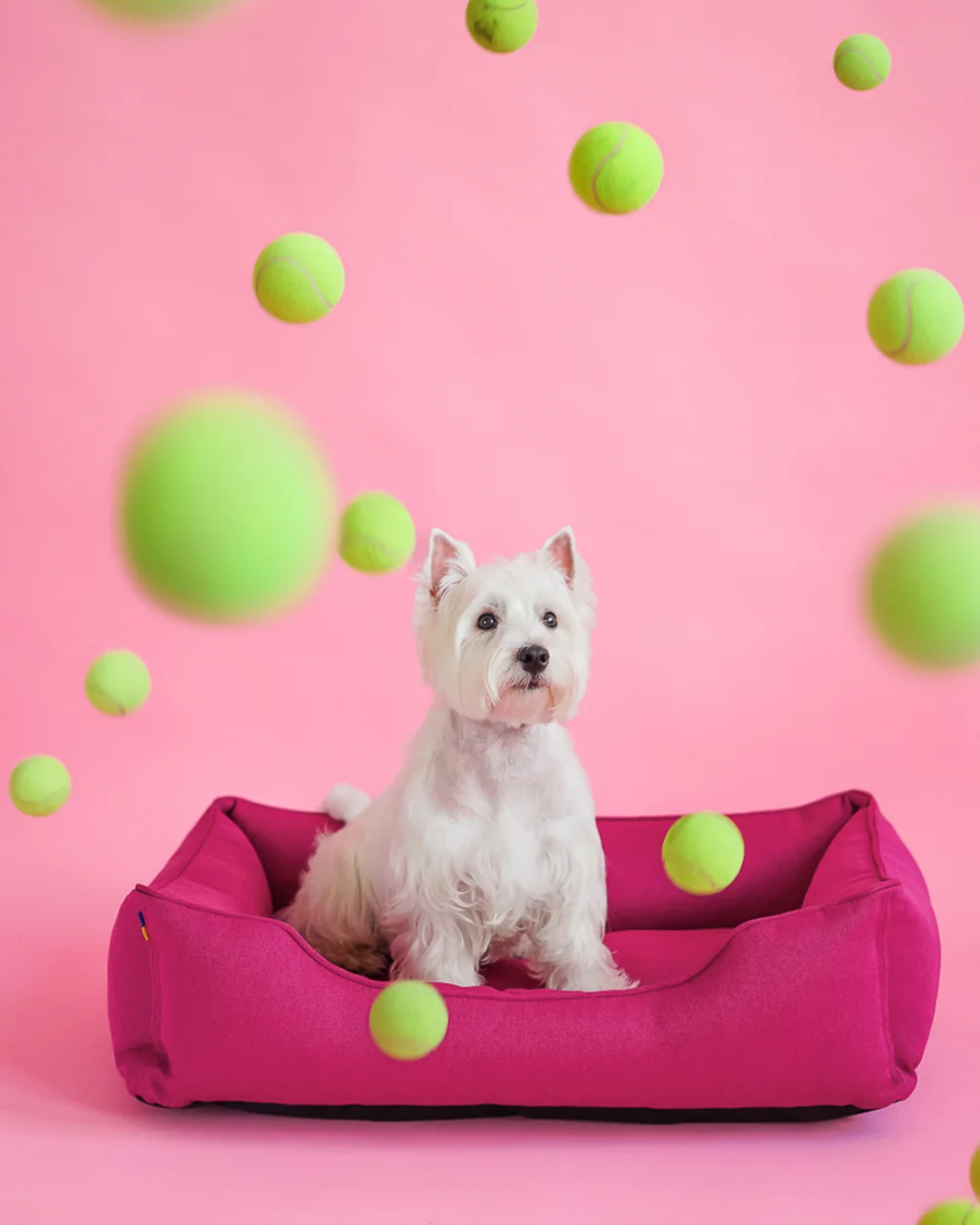 Cotton Sleeper Dog Bed Berry Pink