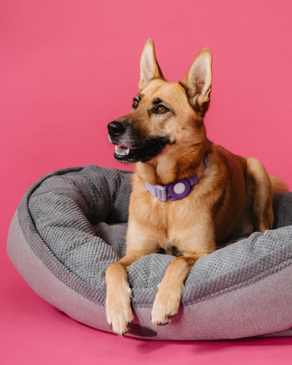 Furry Bagel Dog Bed