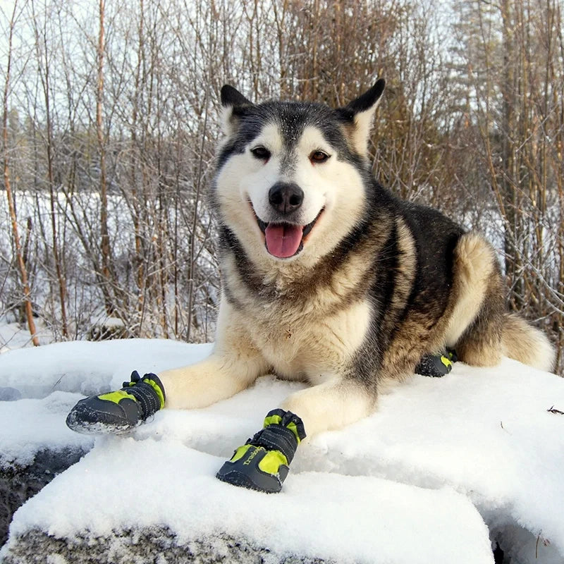 TrueLove Dog Shoes TLS3961