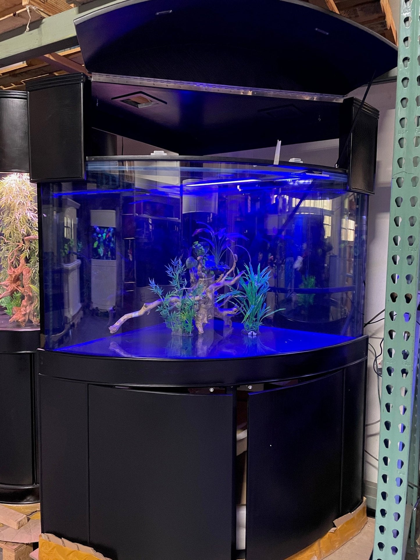 250g Corner ¼ Cylinder Glass Aquarium Ensemble in Abyss Black
