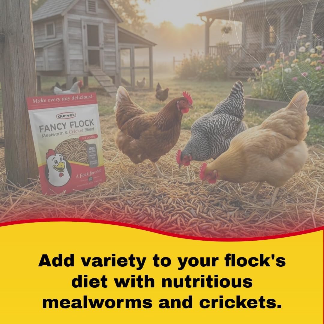Durvet Fancy Flock Mealworm and Cricket Bird Treats 16 oz.