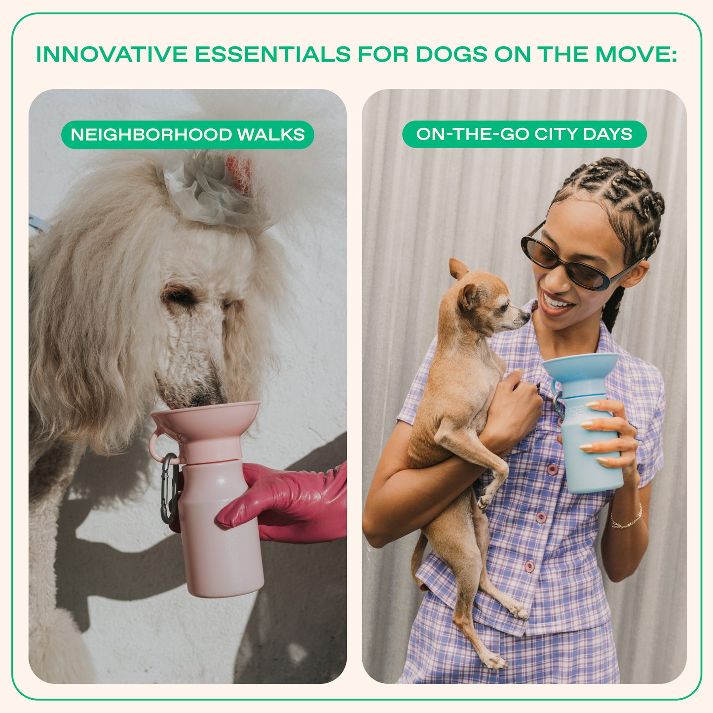 15oz Original Dog Travel Water Bottle