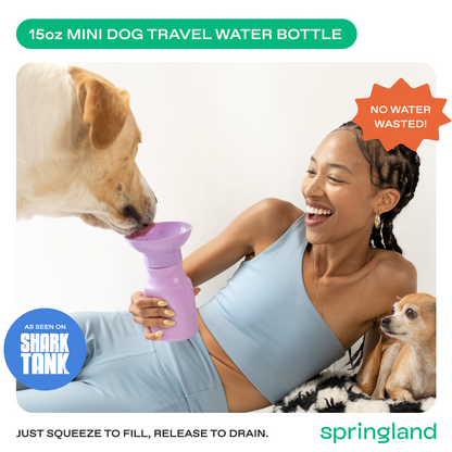 15oz Original Dog Travel Water Bottle