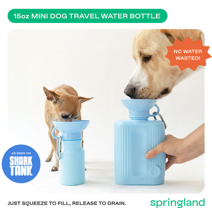 15oz Original Dog Travel Water Bottle